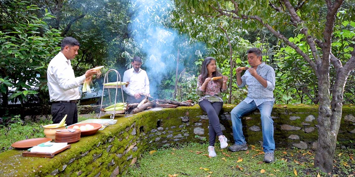 Healthy Food Activities