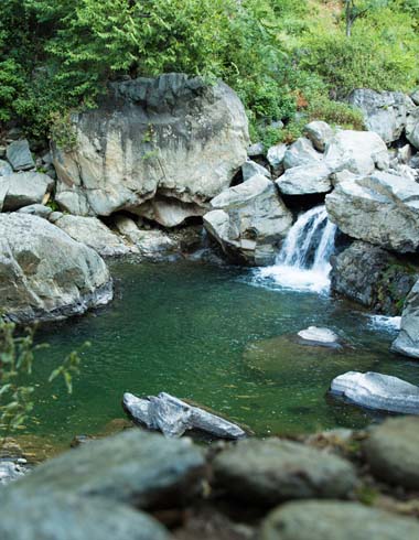 Rockpool