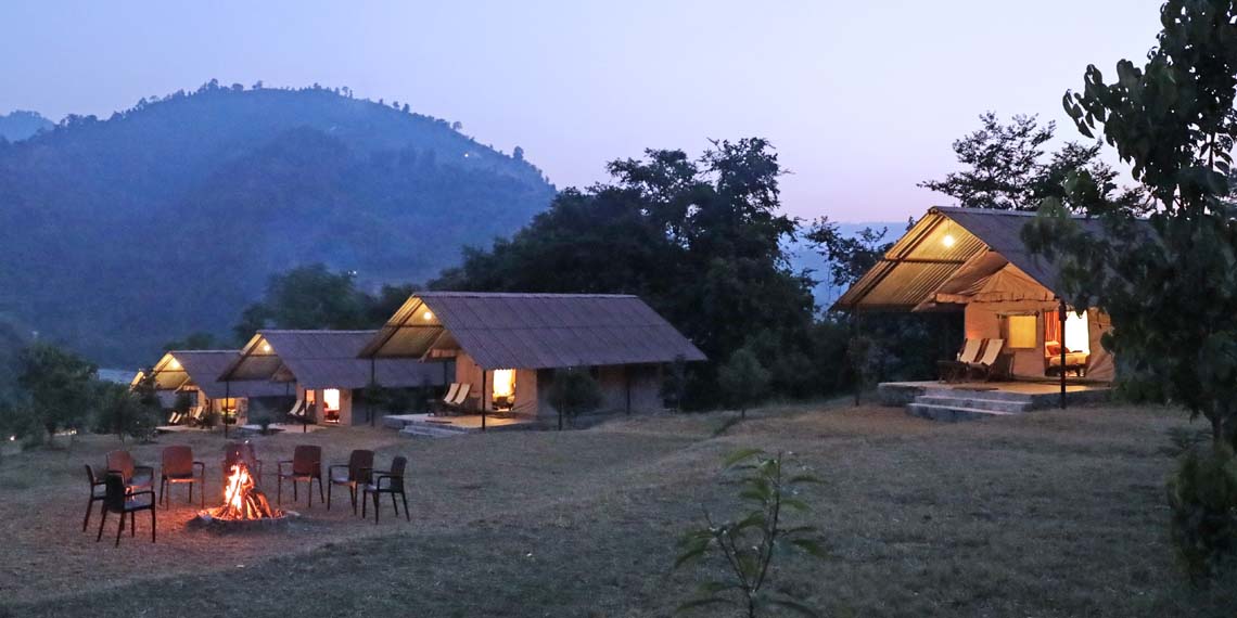 Forest Camp