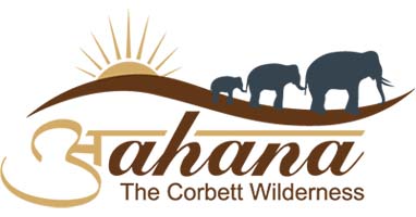 Hotel Aahana logo