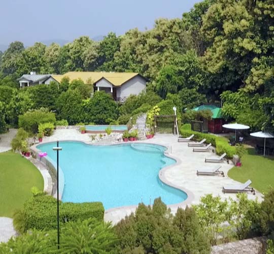 Pool and surroundings