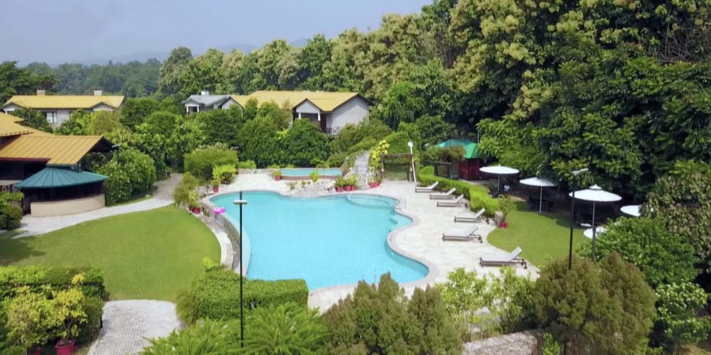Pool and surroundings