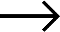 Guest Experience Videos Icon